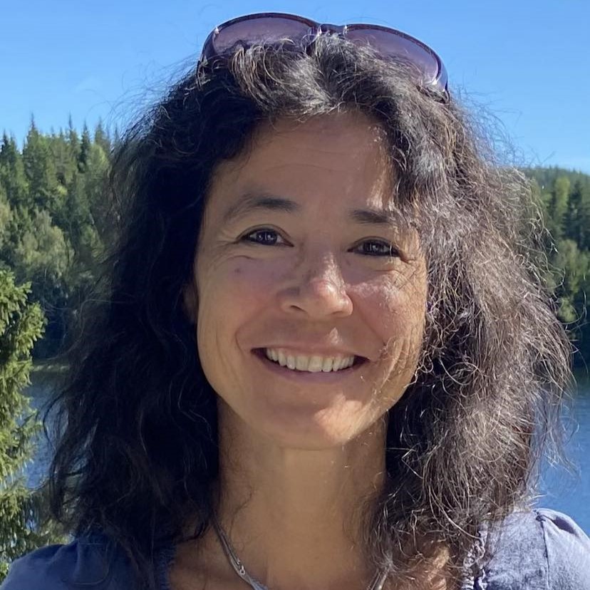 Bilde av foredragsholderen