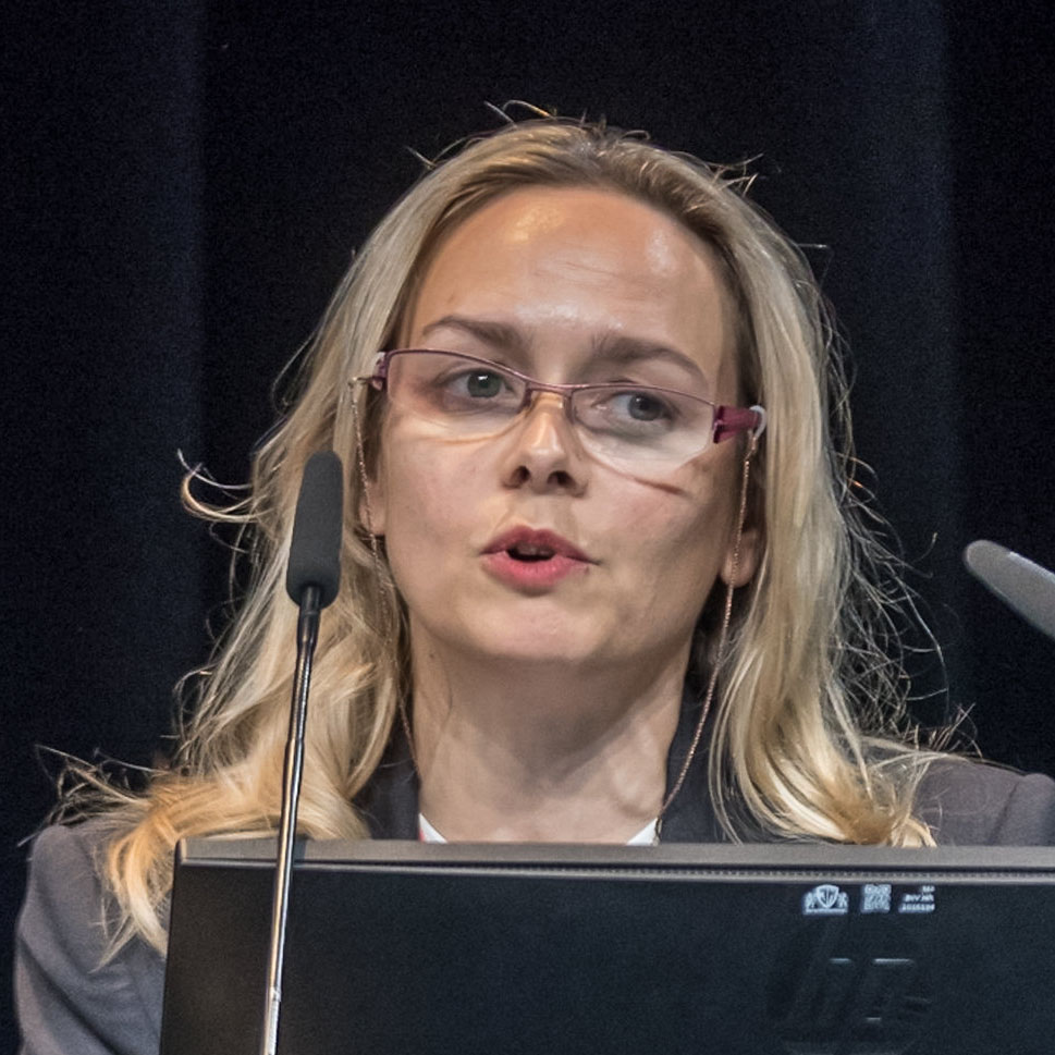 Bilde av foredragsholderen